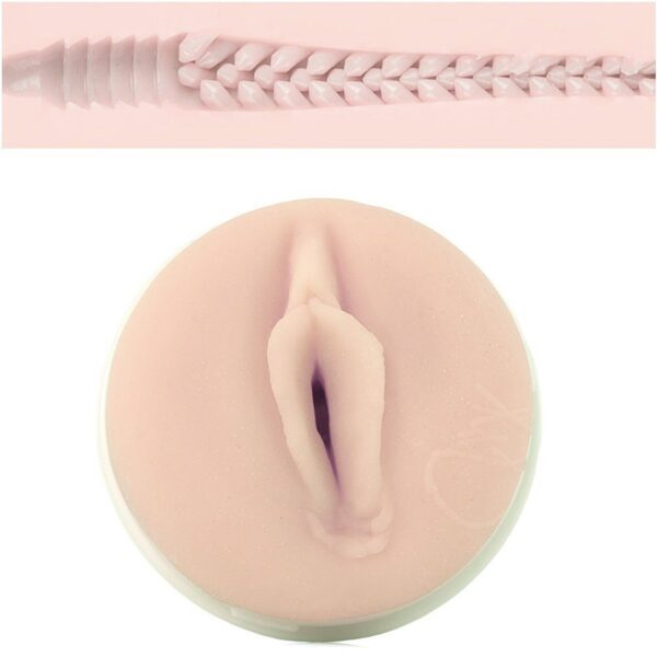 Fleshlight Girls - Jenna Haze Obsession - Afbeelding 3