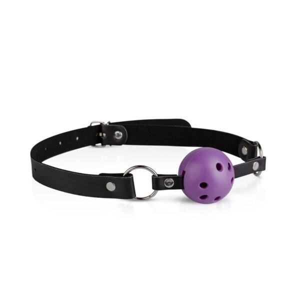 Secret Pleasure Chest - Purple Apprentice - Afbeelding 2