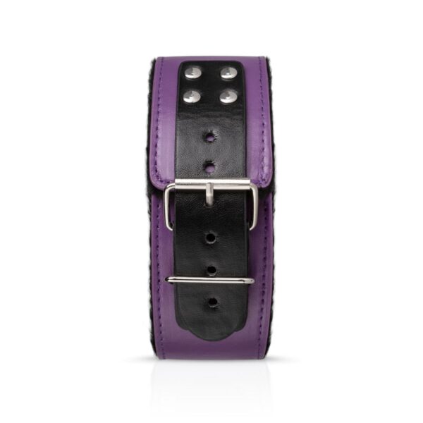 Secret Pleasure Chest - Purple Apprentice - Afbeelding 4