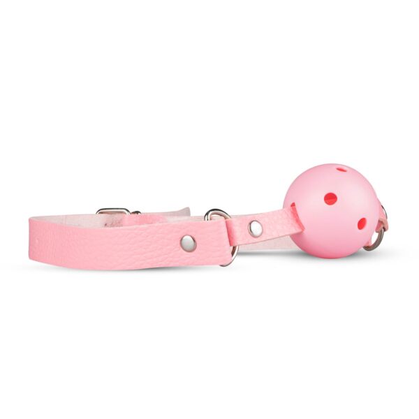 Secret Pleasure Chest - Pink Pleasure - Afbeelding 2