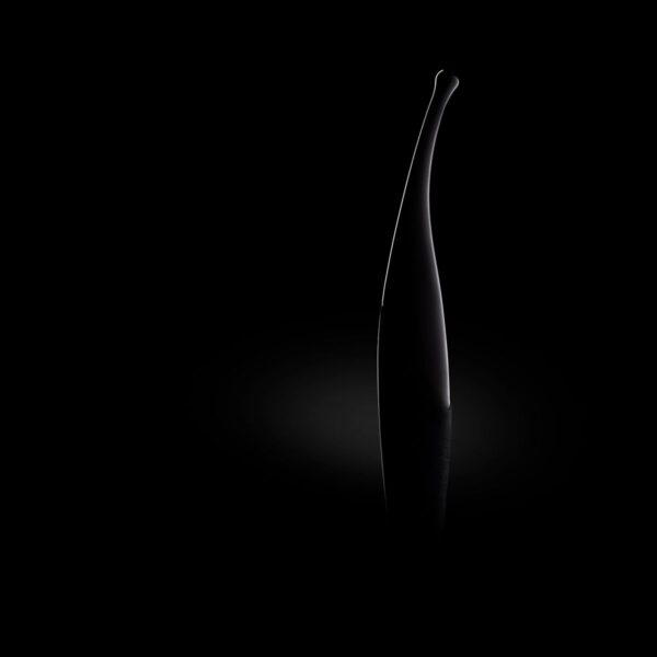 Senzi Vibrator - Zwart - Afbeelding 5