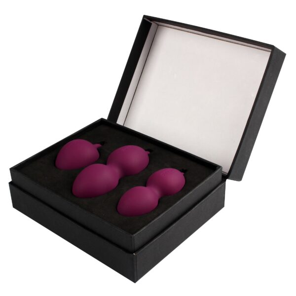 Svakom - Nova Kegel Training Set - Violet - Afbeelding 2
