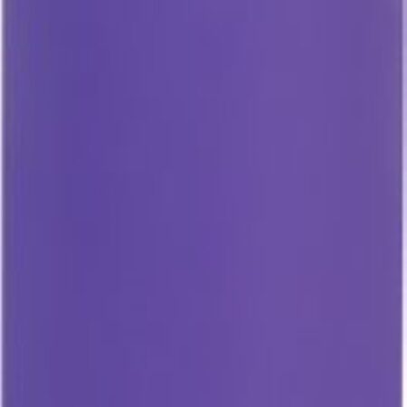 Essential Bullet Vibrator - Paars