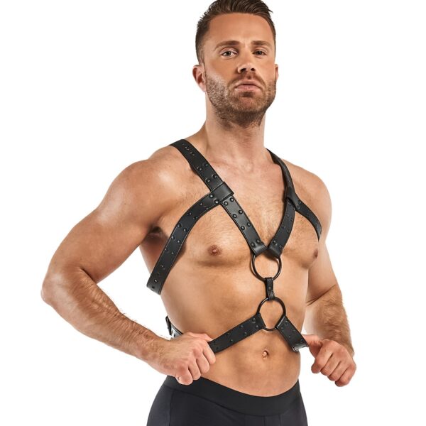 Rocco Bondage Harnas - Zwart - Afbeelding 3