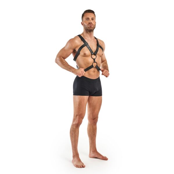 Rocco Bondage Harnas - Zwart - Afbeelding 5
