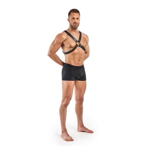Lionel Bondage Harnas - Zwart - Afbeelding 6