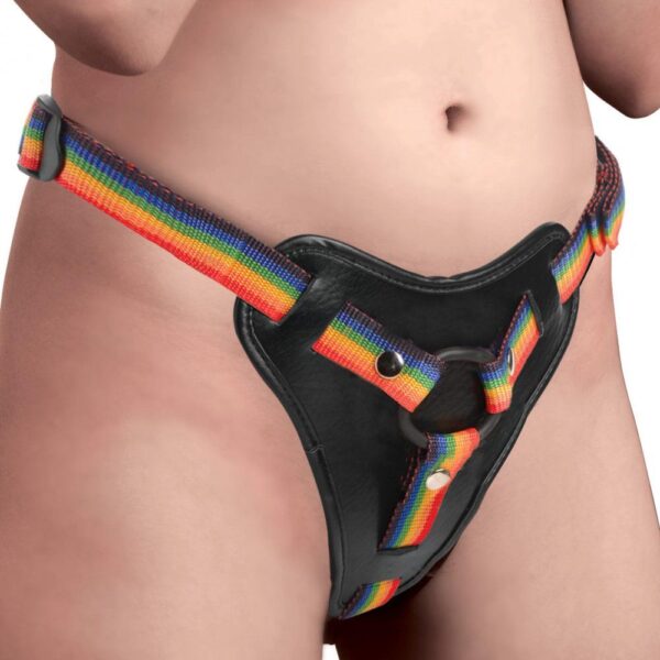 Take the Rainbow Universeel Strap-on Harnas - Afbeelding 3