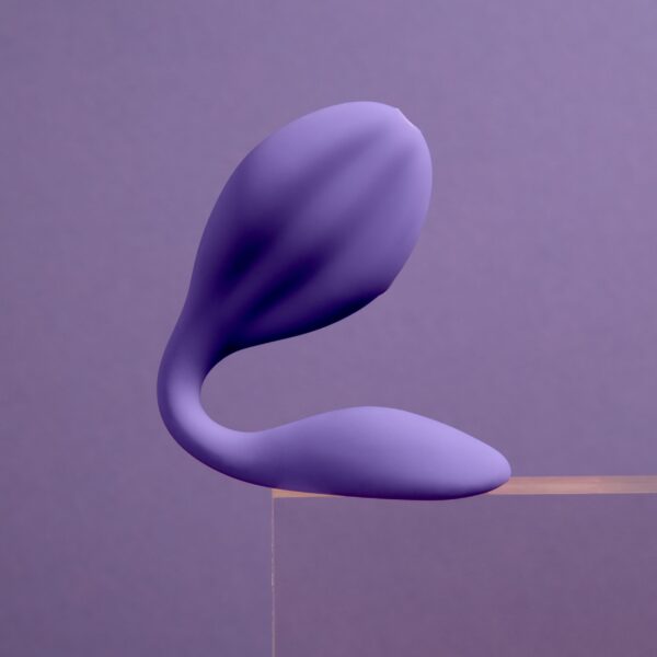 Wellness - Duo Vibrator - Paars - Afbeelding 5