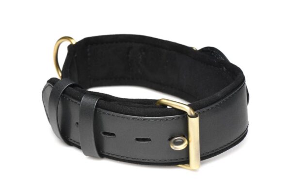 Tracking Halsband - Zwart - Afbeelding 5