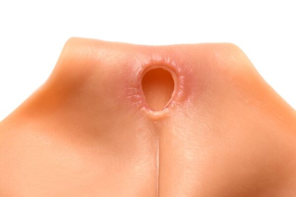 Slipje Siliconen Vagina + Kont - Large - Afbeelding 4