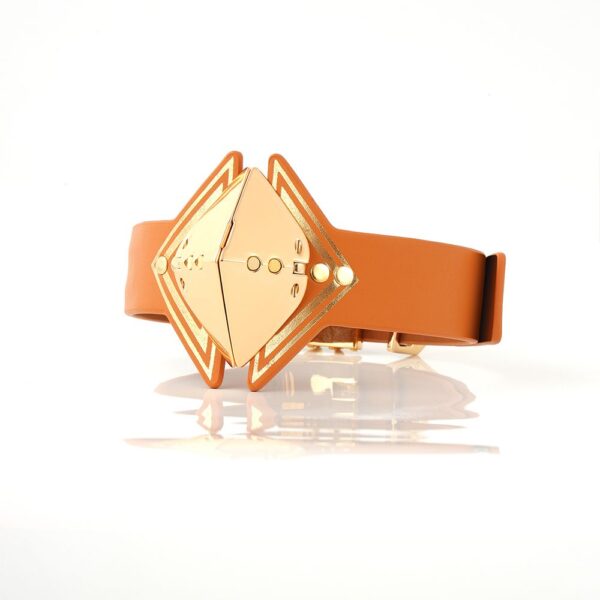 LOCKINK - Posture Luxe Collar en Lijn - bruin - Afbeelding 4