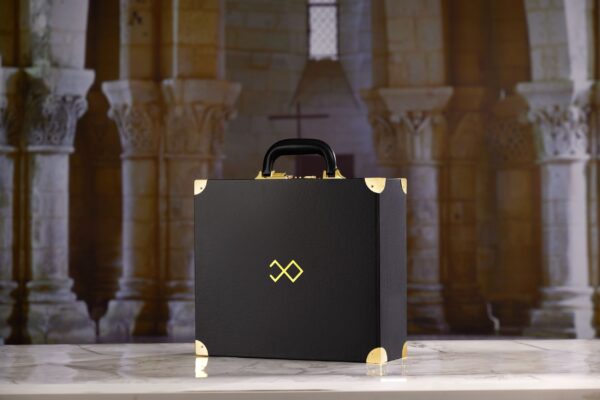 LOCKINK - Moonlight Luxe Opbergkoffer - zwart/goud