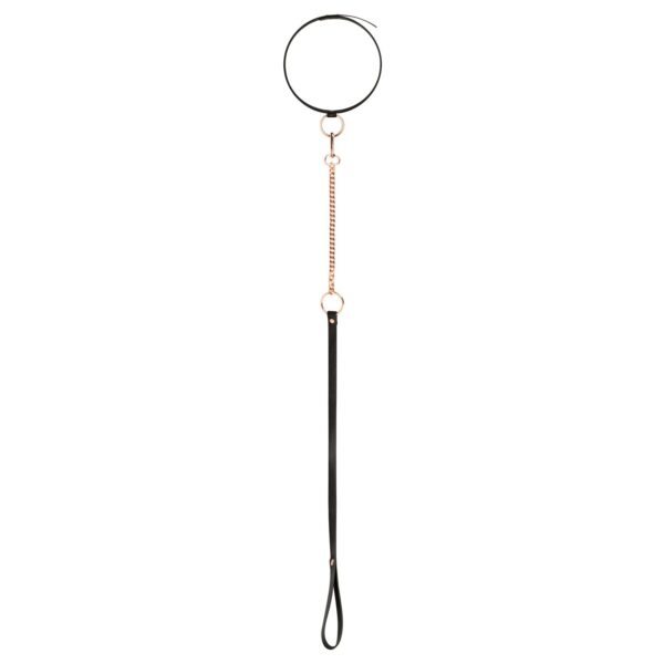 Rosy Gold - Halsband met Leash - Zwart - Afbeelding 4