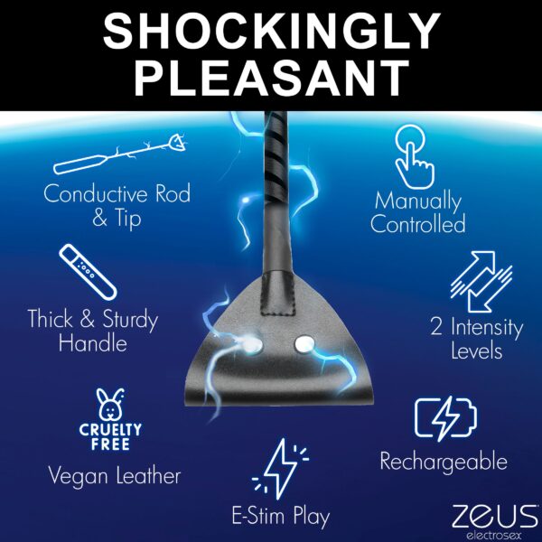 E-Stim Paddle - Afbeelding 13