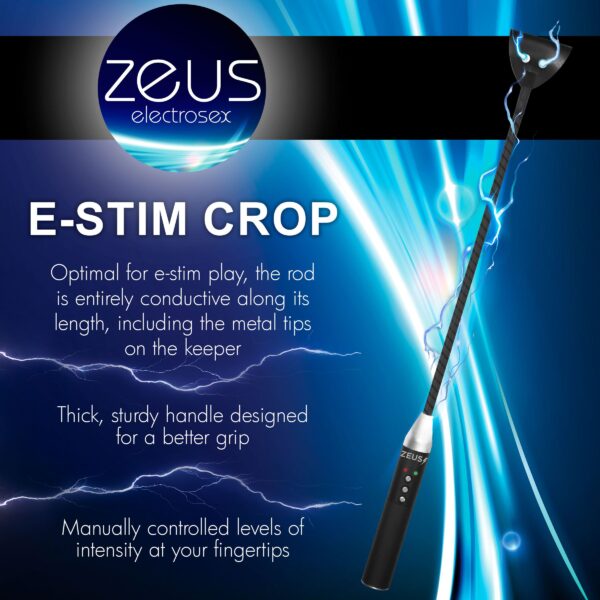 E-Stim Paddle - Afbeelding 11