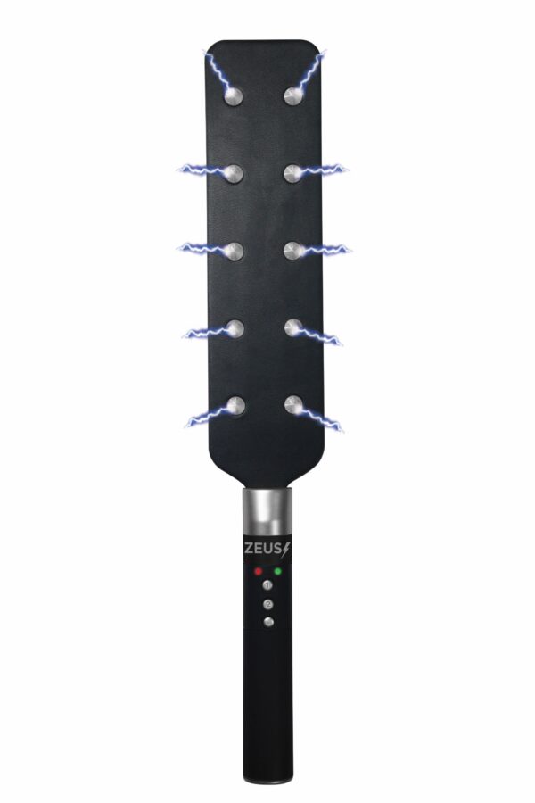 E-Stim Spiked Paddle - Afbeelding 11