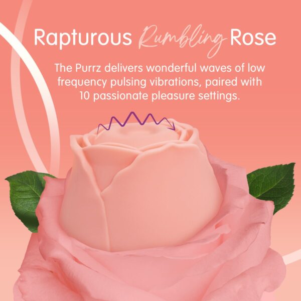 Skins Rose Buddies - The Rose Purrz Vibrator - Afbeelding 3