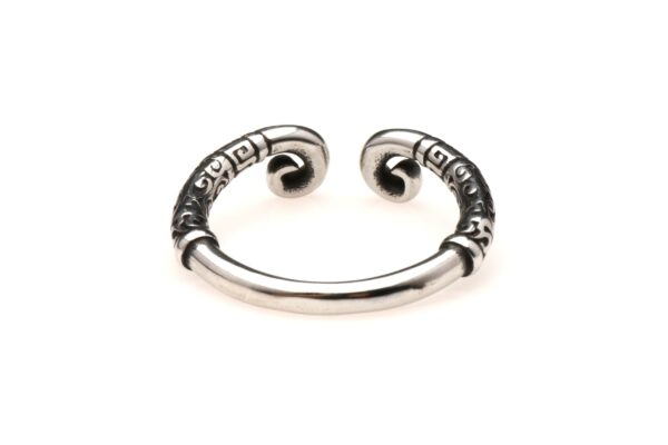 XR Brands - Roestvrijstalen Glansring - Zilver - Afbeelding 3