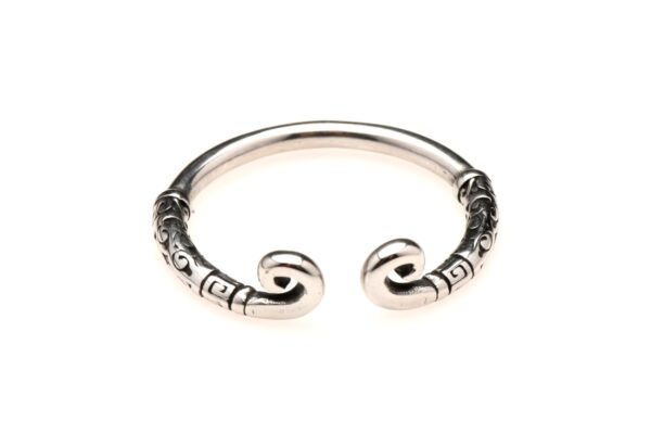 XR Brands - Roestvrijstalen Glansring - Zilver - Afbeelding 4