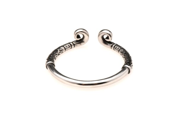 XR Brands - Roestvrijstalen Glansring - Zilver - Afbeelding 5
