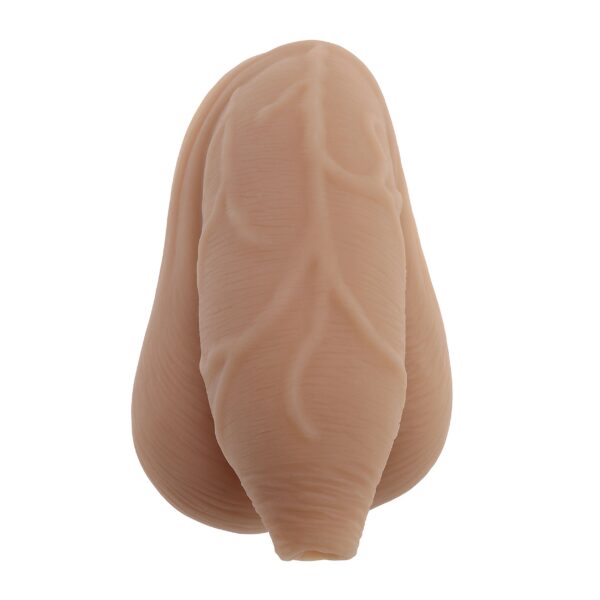 Evolved Novelties - De Onbesneden Packer - Beige - Afbeelding 5