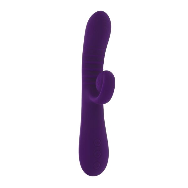 Playboy - Curlicue - Paars - Afbeelding 2