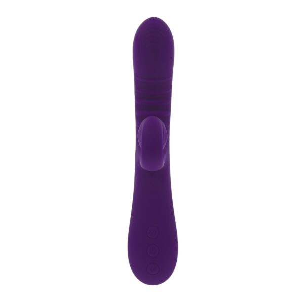 Playboy - Curlicue - Paars - Afbeelding 5