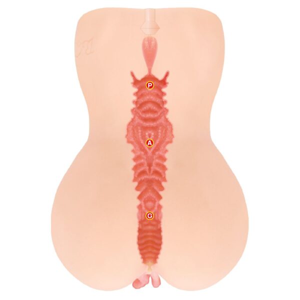 Kokos - Onahole Edition 001 Double Layer XL Masturbator - Afbeelding 10