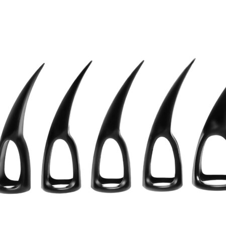 XR Brands - Set van 10 Klauwen - Zwart